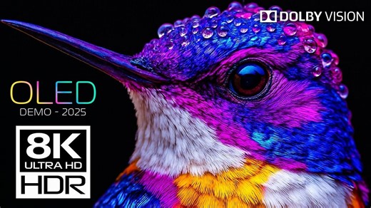 【8K HDR】最美丽的8K 120 FPS HDR视频-杜比视界#8K#HDR|极致画质|杜比视界|电视屏幕测试|手机屏幕测试 |