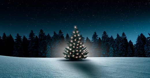 O verdadeiro significado da árvore de Natal (e ninguém te contou)