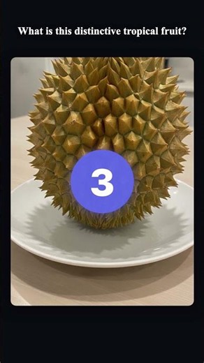 Visual Quiz: Can You Name These Iconic Things?