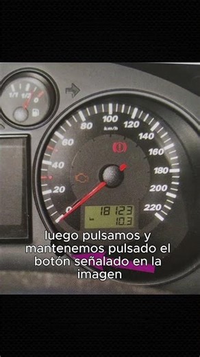 Reset de servicio Seat Ibiza 2002