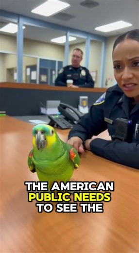 PARROT Exposes Cop: "We Are the New American Power Couple!" 🤣