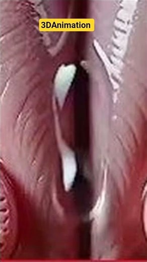 Understanding the Female Reproductive System | Medical Education Guide