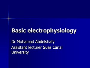 PPT - Basic electrophysiology PowerPoint Presentation, free download - ID:951330