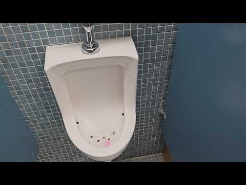 Office Building Men's Restroom with More AS and Eljer Fixtures