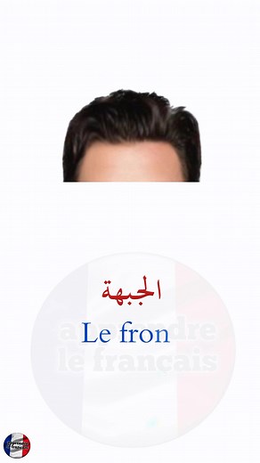 89K views · 2.5K reactions | #أعضاء_جسم_الإنسان #Les_parties_du_corps_humain. | Apprendre le français | Facebook