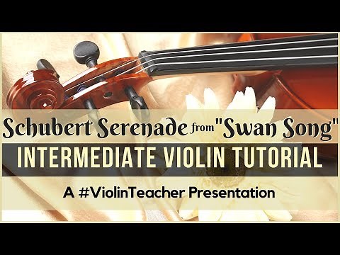 Intermediate Violin Tutorial - Schubert Serenade from Schwanengesang, D. 957
