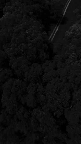 J Cole - Work Out: Sped Up Lyrics and Rap Music