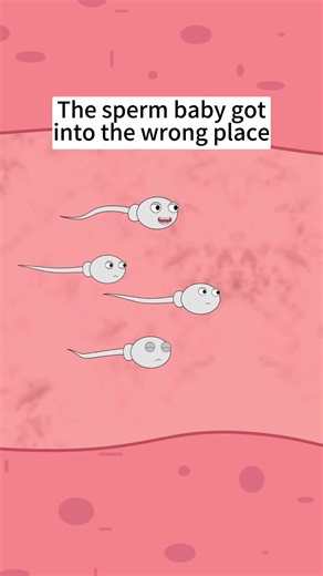 #duet with @Lily Animations #animationmeme | animation meme