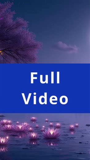 Watch This Before Bed Tonight