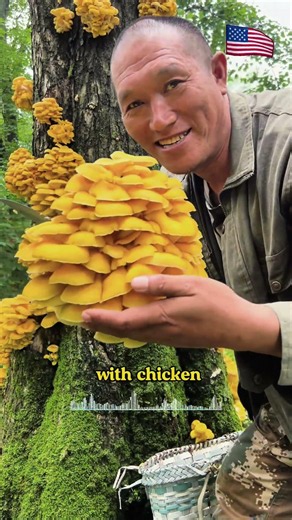 Can You Eat These Mushrooms?#MushroomFacts#FoodFacts#WildMushrooms#NatureFood#CookingFacts#short