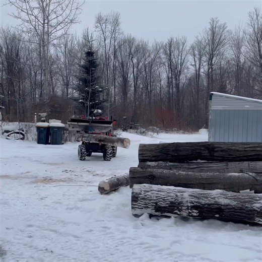 No Grapple Needed On Tractor #tipsandtricks #logging #tongs #getit #redneck #ingenuity