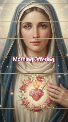 💙 Immaculate Heart of Mary | A Mother's Love, Mercy & Protection ✝️🌹