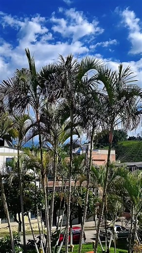 #adios2025 #CapCut | 2021 vs 2024 capcut