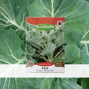 14K views · 455 reactions | From vibrant veggies and fresh spinach to a colourful array of flowers and aromatic herbs, we have it all. | Kirchhoffs | Facebook