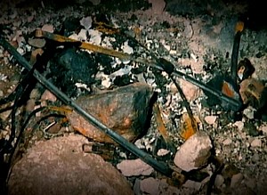 Forensic Files For Love or Money 1 #forensicfiles | Forensic Files 2024