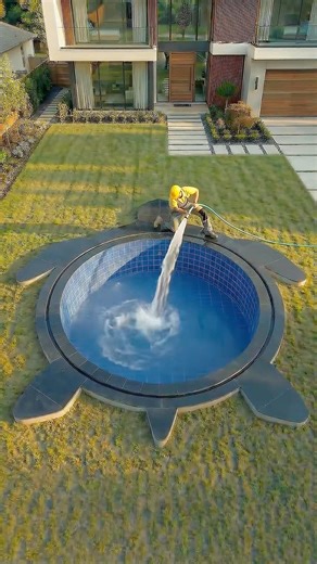 I Built a Giant Turtle Pool in My Front Garden