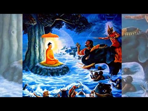 Some had their hands, hands, or feet turned backward, or their eyes facing backward . hi All 🥰🥰