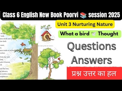 What does a BIRD think in class 6 lessons questions answers?|What a bird 🐦 thought lesson questions