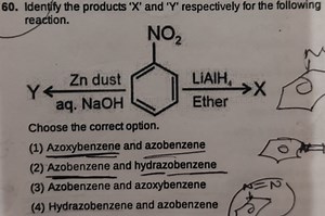 60. Identify the products ' X ' and ' Y ' respectively for the ... | Filo
