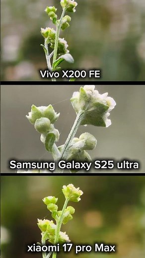 Vivo X200 FE vs Samsung galaxy S25 Ultra Vs Xiaomi 17 Pro Max Ultimate Photography Compare Test
