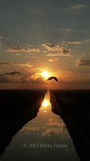 Tamarac and Coral Springs sunset