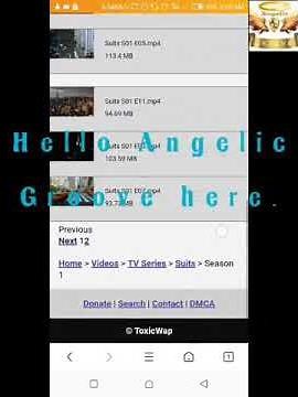 HOW TO DOWNLOAD SERIES FROM TOXICWAP IN THE MOST FASTEST WAY POSSIBLE.