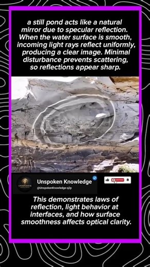 How a Still Pond Becomes a Natural Mirror | Physics of Reflection