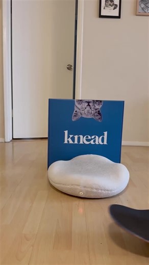 Is your cat quietly hurting? Give them real relief with a heated, orthopedic cat bed.