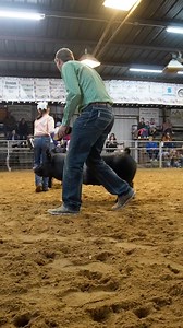 And that’s a wrap on the Wilson County Livestock Show! We’re so proud of the many FISD students who participated through FFA and 4-H this year. Your hard work, dedication, and countless hours of preparation truly showed. Congrats to all! 🎉 The auction begins tomorrow (Saturday) at 12:30 PM 📍 Wilson County Expo Center (Showbarn) off Hwy 97E Come out and support our students. Stay Safe & Warm! | Floresville ISD