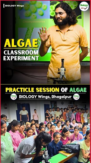 BIOLOGY Wings on Instagram: "Algae Experiment Microscopic View of Spirogyra #biowings #biologywings"