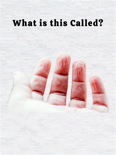 Learn English Vocabulary: Essential Words and Phrases