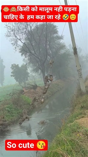 #radhakrishna #radheradhe #short #funny #viral #viralvideo #trending #youtubeshorts