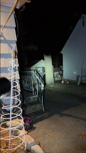 Black Bear Scared Off with Paintball Gun After Rummaging Through Trash