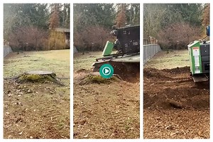 Viral Video: Machine Cleanly Shreds Tree Stump And Roots With Powerful Blade Like A Clean Shave | Watch