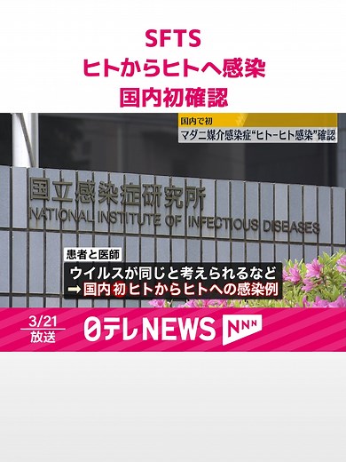 #マダニ が媒介する感染症、#SFTS のヒトからヒトへの#感染例 が国内で初めて確認されました。#日テレnews #tiktokでニュース