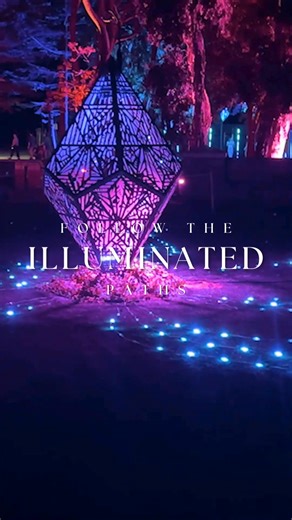 Tickets are now on sale for Aurora – In Bloom 🌸 The Albury Botanic Gardens will be a glow again when Aurora – In Bloom arrives as part of Laservision’s internationally recognised Luna Light Journeys series. Across the Gardens, illuminated trees and immersive light installations create a magical evening experience, inviting visitors to wander, explore and enjoy the space in a whole new way. Running from Friday 20 March - Saturday 11 April 2026, Aurora – In Bloom is perfect for families, friends 