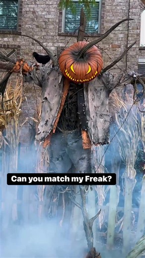 Halloween #Evilseedcreations #Halloweendecor #Pumpkin #JackoLantern #Evilpumpkin #Pumpkinking #Pumpkinhead #Scarecrow #Monster #Scary #Creepy #Spooky #Horror #Handmade #Darkartist #Sculpture #Oneofakind #Unique #details #reeloftheday #instagood | Evil Seed Creations