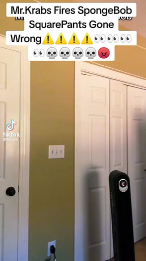 Mr Krabs Broke A Chance To Not Fire SpongeBob For The 51st Time... | mr krabs spongebob fire