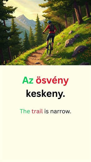 The Most basic Hungarian phrases for Beginners! 🇭🇺 #shorts #language #hungarian #hungary #magyar