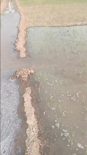 Teri Mitti me mil java