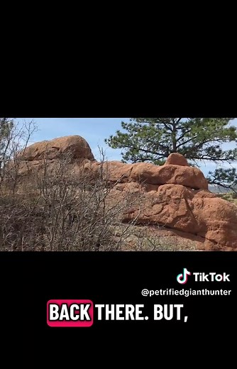 Petrified Dragon & Giants: Unveiling Ancient Mysteries