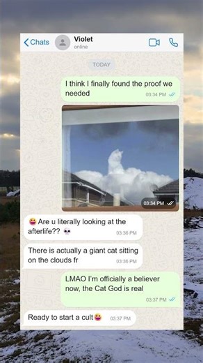 Proof That The Cat God Is Real 🐈☁️ #shorts #catgod #afterlife #perfectreflection #miracle