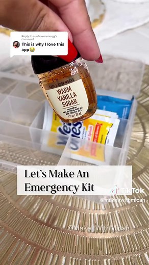Emergency Kit from Dollar Tree: Essential Items & Organizer