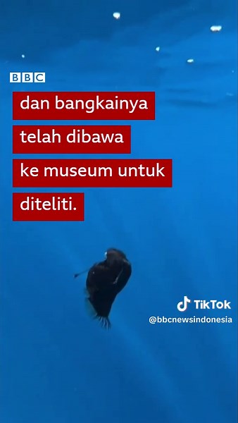 Ikan Setan Laut Hitam: Ditemukan di Siang Hari