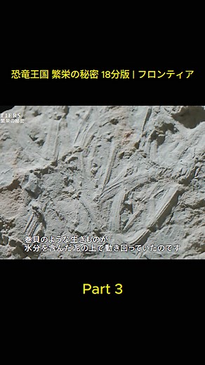 TikTokでNHKさんをチェック！