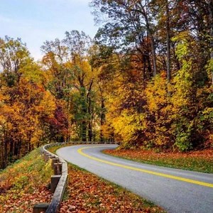 15K views · 739 reactions | Here are our top photos of Virginia's Blue Ridge from 2016. Have you been to all these spots? | Visit Virginia's Blue Ridge | Facebook