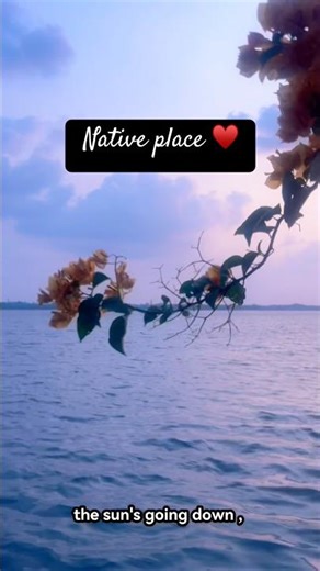 My native cochin is absolutely stunning #cochin #lake #city