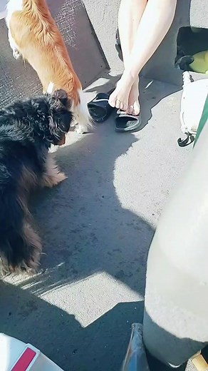 Scott Mckay on TikTok