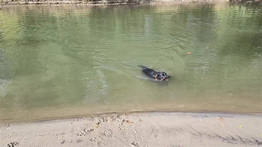 David Miller on Reels