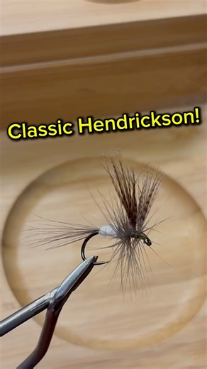 The Hendrickson Dry Fly: A Timeless Pattern #flytying #flyfishing #dryfly #trout #fishing #flyfish